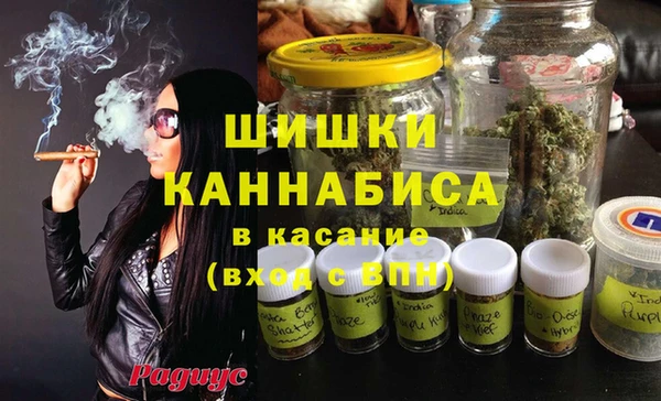 бошки Алексин