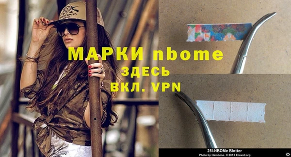 бошки Алексин